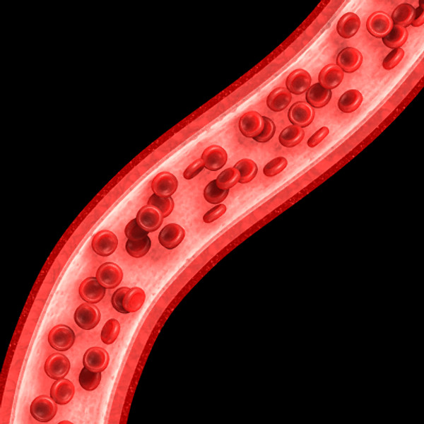 3ds max neuron chromosome blood vessel - Neuron, Chromosome, Blood Vessel by TurboPhoton