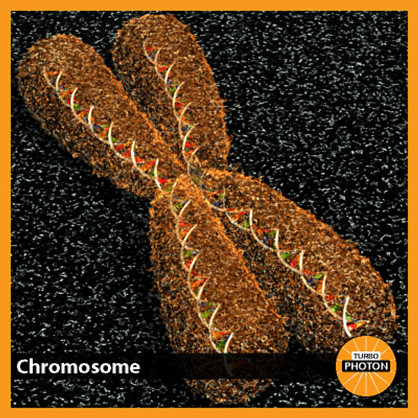 3ds max neuron chromosome blood vessel - Neuron, Chromosome, Blood Vessel by TurboPhoton