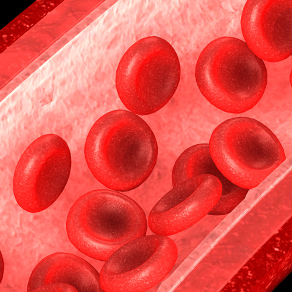 3ds max neuron chromosome blood vessel - Neuron, Chromosome, Blood Vessel by TurboPhoton