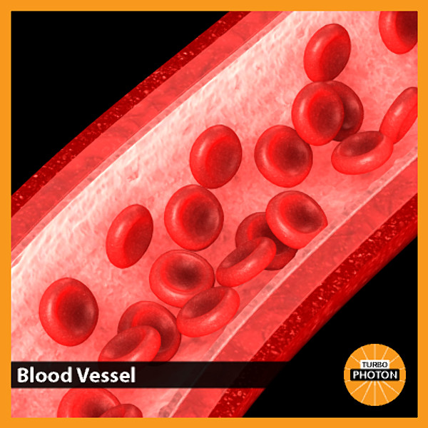 3ds max neuron chromosome blood vessel - Neuron, Chromosome, Blood Vessel by TurboPhoton