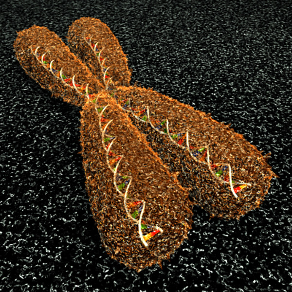 3ds max neuron chromosome blood vessel - Neuron, Chromosome, Blood Vessel by TurboPhoton