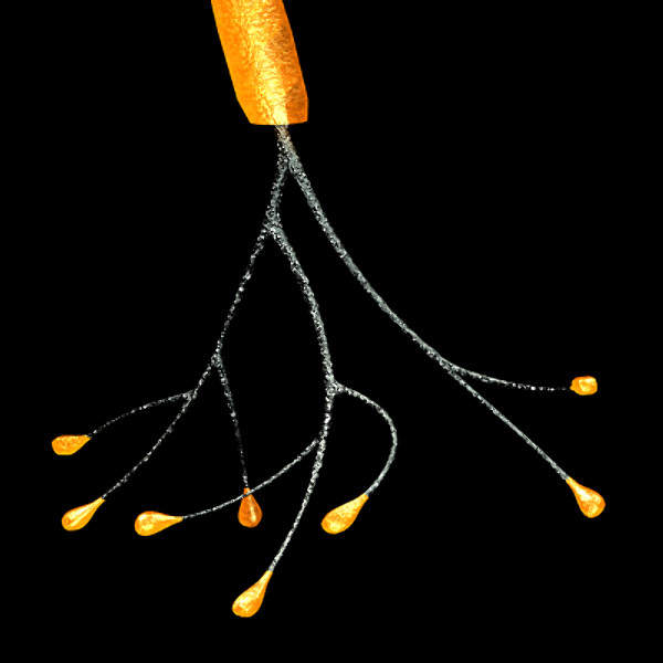 3ds max neuron chromosome blood vessel - Neuron, Chromosome, Blood Vessel by TurboPhoton