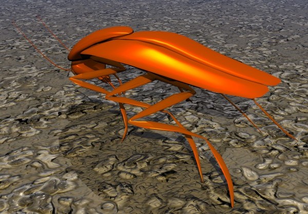 maya cockroach creatures extermination - Cockroach... by GraphicGuru