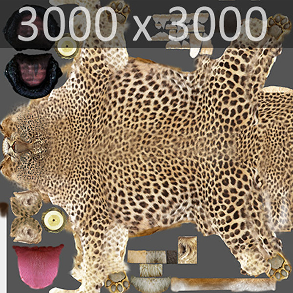3d cat feline leopard - Leopard by NONECG