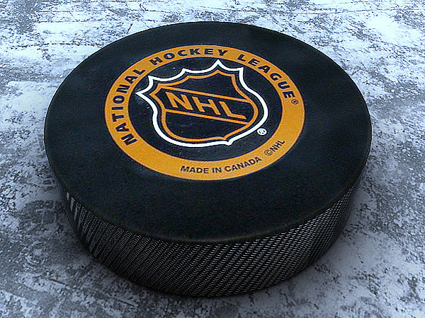 hockey puck 3d max - Hockey pucks collection by Dzejsi Models