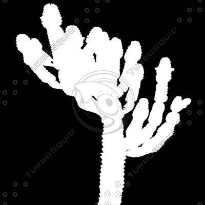 Desert_plants_02.tga