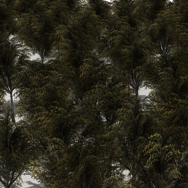 tree opacity 3d model - Tree 2 by fabelar