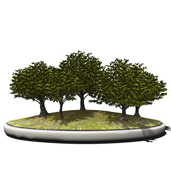 3d model xfrogplants bonsai japanese zelkova - XfrogPlants Bonsai Japanese Zelkova by xfrog