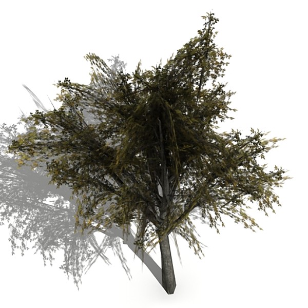 tree opacity 3d model - Tree 2 by fabelar
