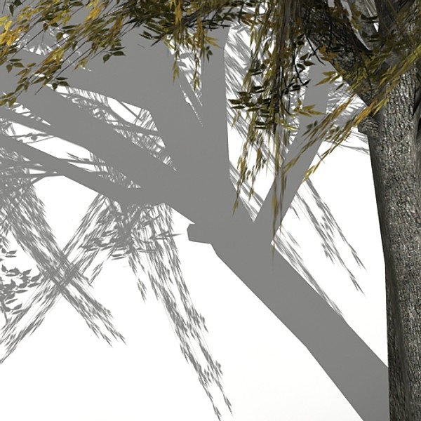 tree opacity 3d model - Tree 2 by fabelar