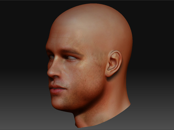 free brad pitt 3d model - Brad Pitt by studio Lab