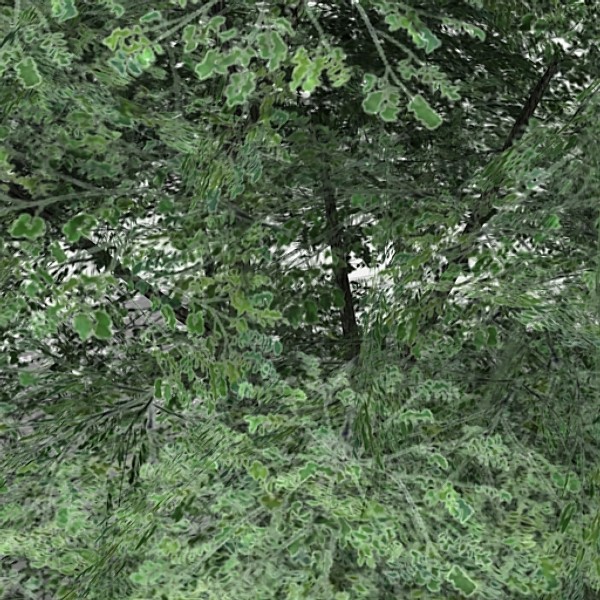 tree opacity 3d max - Tree 06 by fabelar