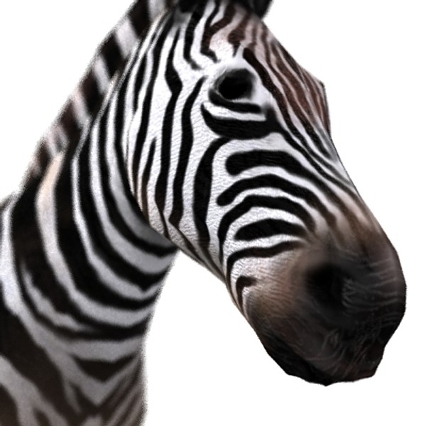 zebra 3d max - zebra_max.zip... by David Penfound