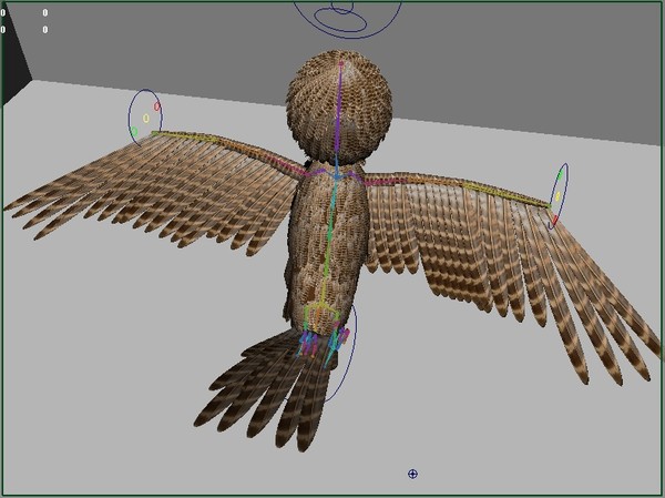 3d model bird rigged cartoony little - Cartoony Rigged Little Bird by robman88