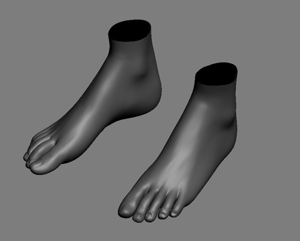 3d realistic foot model - Female Foot with UV by dentonvanzan