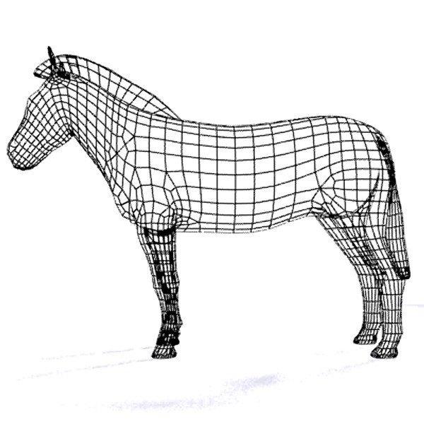 zebra 3d max - zebra_max.zip... by David Penfound