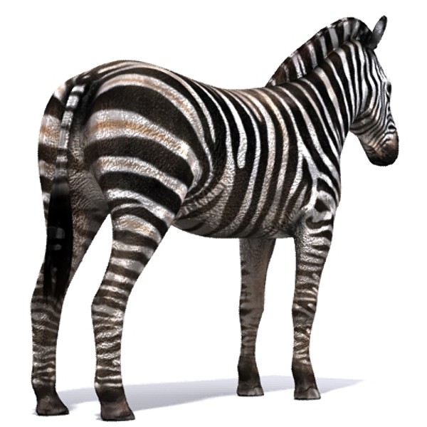 zebra 3d max - zebra_max.zip... by David Penfound