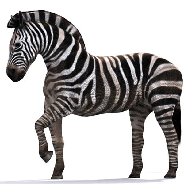 zebra 3d max - zebra_max.zip... by David Penfound