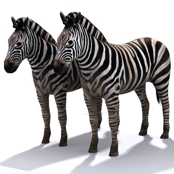 zebra 3d max - zebra_max.zip... by David Penfound