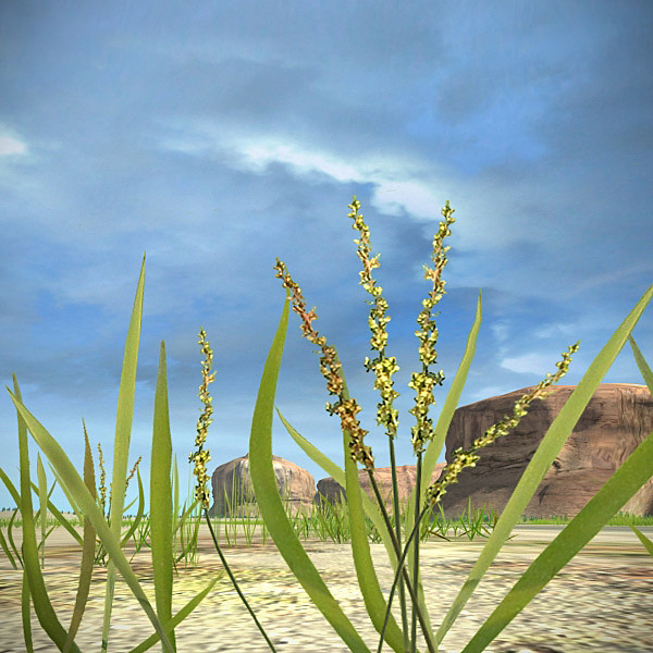 scene road desert complete max - Desert Road Complete Scene by 3D_Multimedia