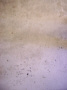 Dirty Concrete